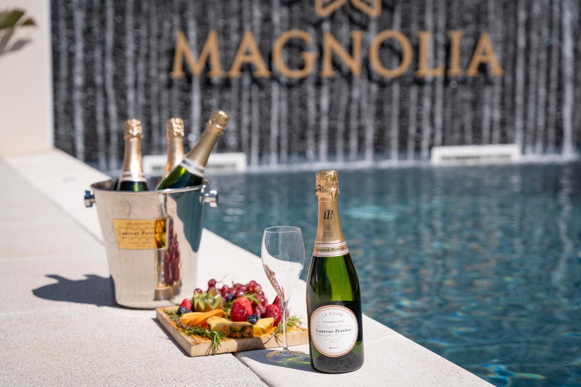 Magnolia Luxury Villa Виейра де Лейрия Екстериор снимка